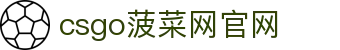 csgo菠菜网(中国区)有限公司官网